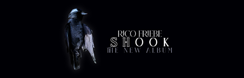 RICO FRIEBE - SHOOK [NOVEMBER 8TH 2024]